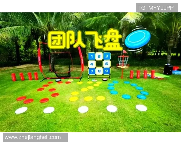 飞盘飞扬：重庆飞盘队成长历程的真实记录与感人故事MBA